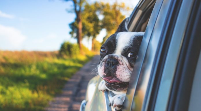 Mitfahrgelegenheit gesucht? Kein Problem!